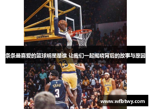 条条最喜爱的篮球明星是谁 让我们一起揭晓背后的故事与原因