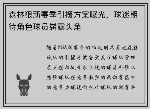 森林狼新赛季引援方案曝光，球迷期待角色球员崭露头角